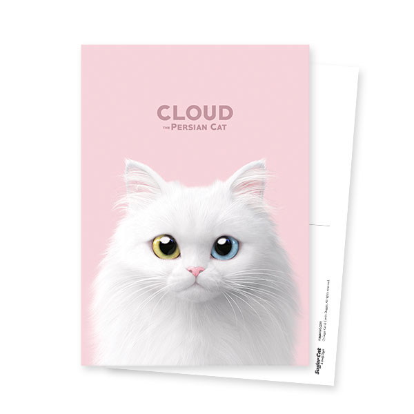 Cloud the Persian Cat Postcard