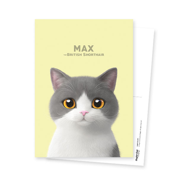 Max the British Shorthair Postcard