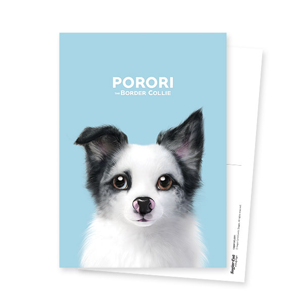 Porori the Border Collie Postcard