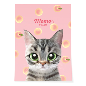 Momo the American shorthair cat’s Peach Art Poster