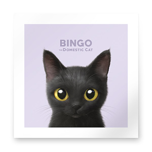Bingo Art Print