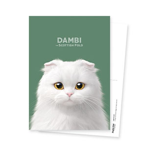 Dambi Postcard