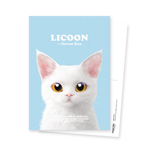 Licoon Retro Postcard