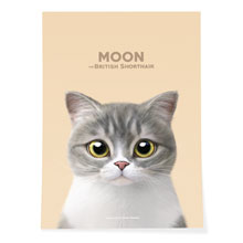 Moon the British Cat Art Poster