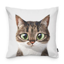 Custom Throw Pillow