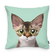 Fany Throw Pillow