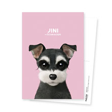 Jini the Schnauzer Postcard
