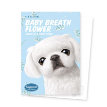 Happy’s Baby Breath Flower New Patterns Postcard