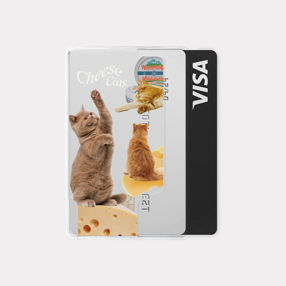 cheese cat 디자인 [맥세이프 카드지갑]