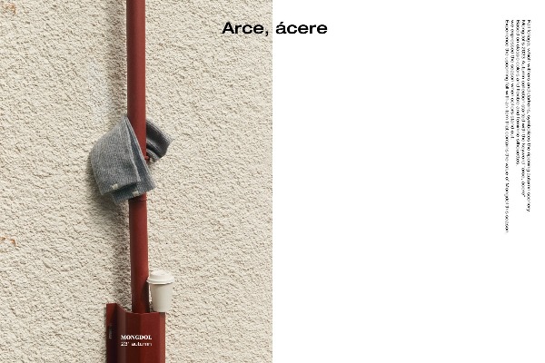 23 fall &#039;Arce, acere&#039;