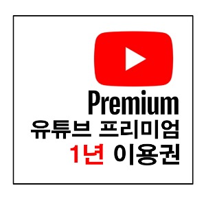 유튜브 프리미엄 1년 이용권!!! (24시간 카카오톡 자동전달)