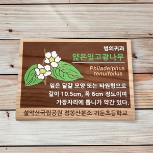 꽃이름 나무간판 수목표찰 25412