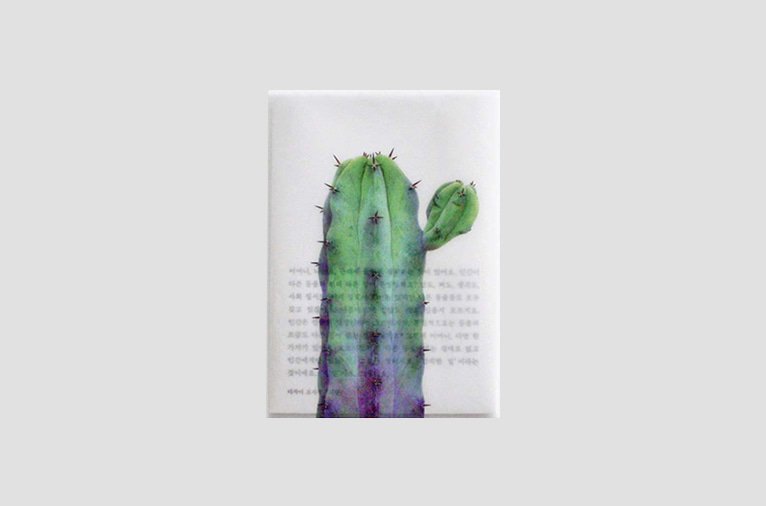 재입고*[소언] Plant post card - cactus