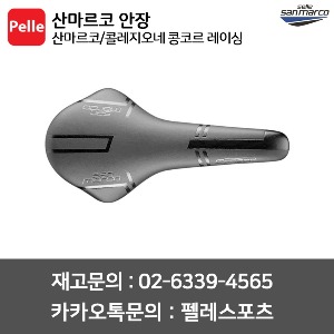 산마르코안장