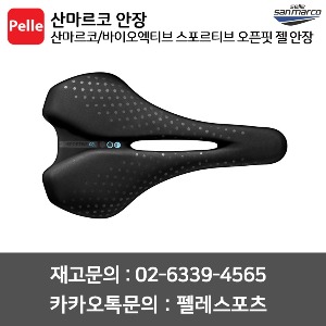 산마르코안장