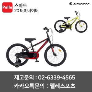 SMART 스마트 20 터미네이터 어린이자전거