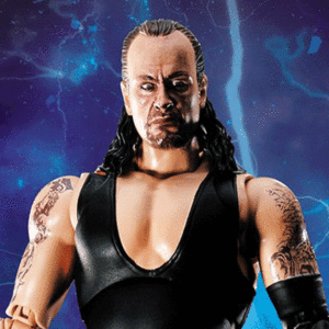반다이 S.H.Figuarts WORLD WRESTLING ENTERTAINMENT(WWE) Undertaker (혼웹한정) 