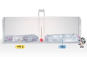 (천재교육)바람발생모형실험세트