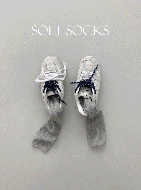 스프링 쉬어 socks (4 color)