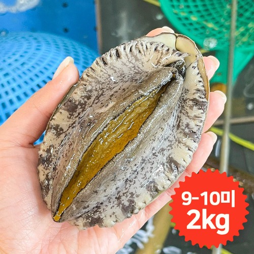 완도청정마켓[청산바다] 대복 9-10미 2kg 활전복 (약 18~20마리)[청산바다] 대복 9-10미 2kg 활전복 (약 18~20마리)(주)청산바다기본트렌드