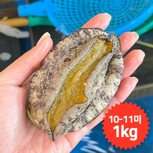 완도청정마켓[청산바다] 중소복 18-20미 1kg 활전복[청산바다] 중소복 18-20미 1kg 활전복(주)청산바다기본트렌드