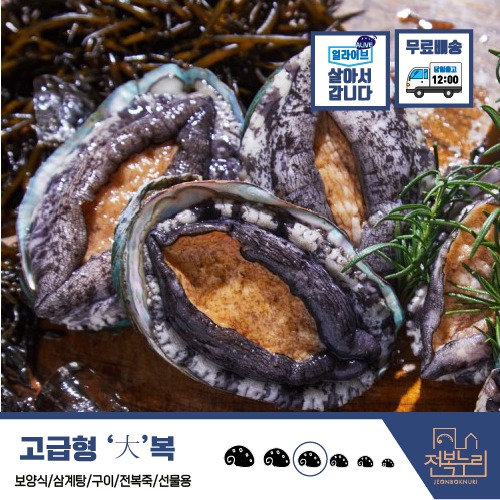 완도청정마켓[고급선물용] 고급형 대복 14-16미 1kg[고급선물용] 고급형 대복 14-16미 1kg전복누리기본트렌드