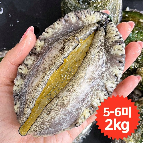 완도청정마켓[청산바다] 왕특대복 5-6미 2kg 활전복 (약 10~12마리)[청산바다] 왕특대복 5-6미 2kg 활전복 (약 10~12마리)(주)청산바다기본트렌드