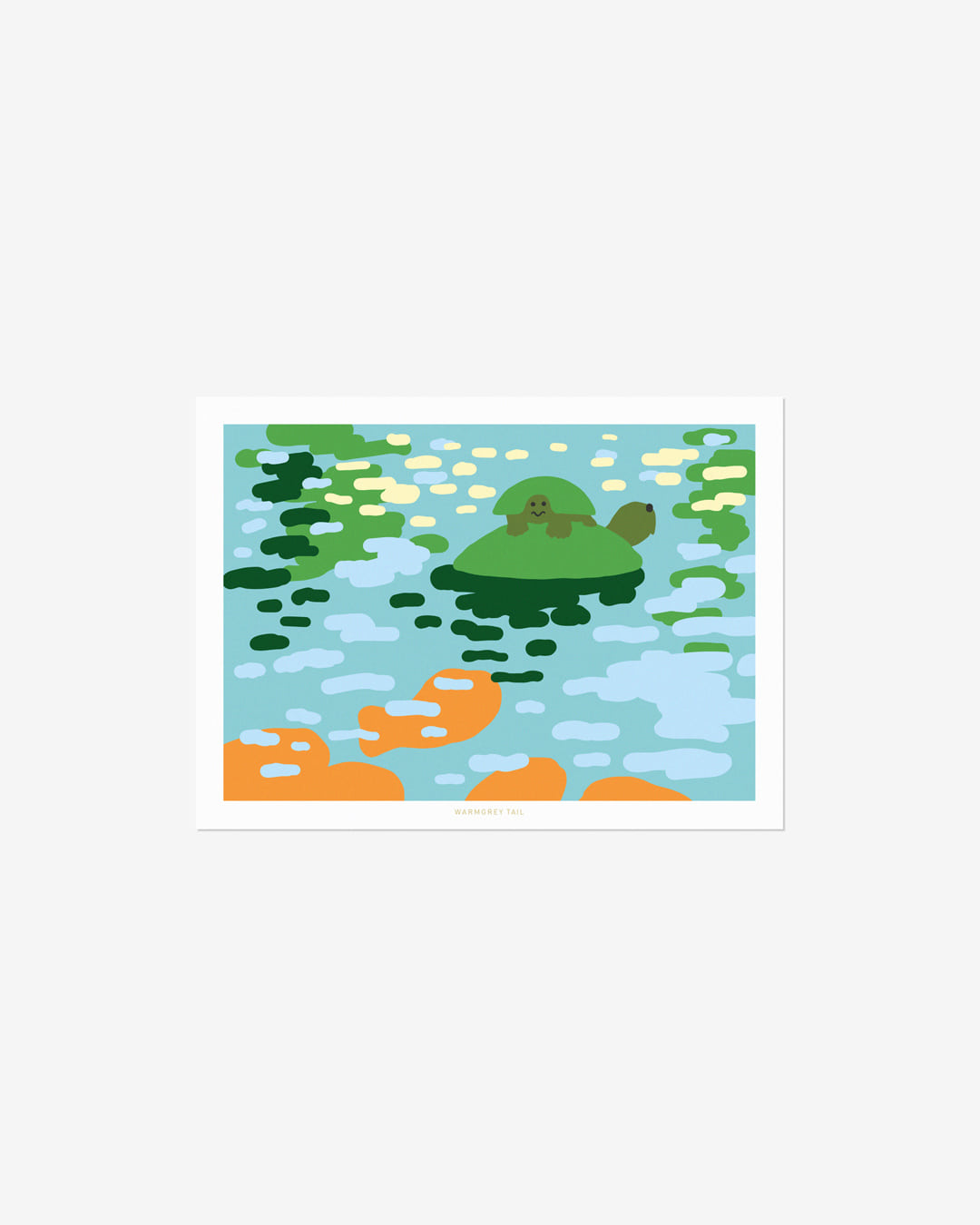 TURTLES POSTCARD