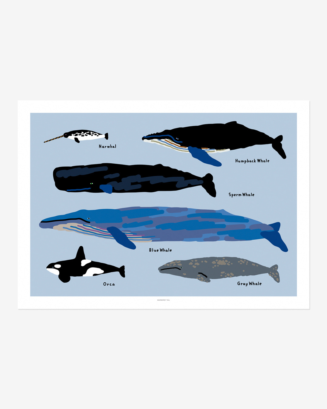 WHALES POSTER