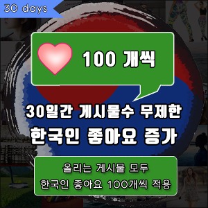 인스타한국인자동좋아요증가