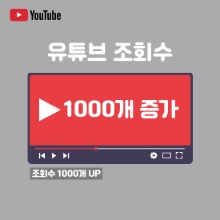 유튜브 조회수 늘리기