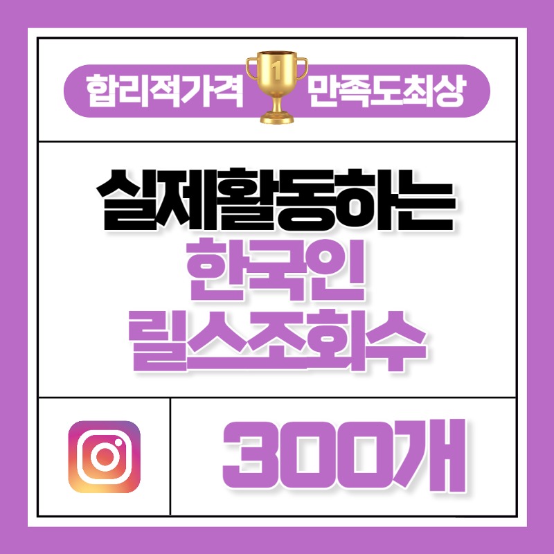 릴스 조회수 300개