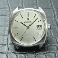 월쌈 Waltham  americana