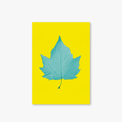 아트커버 디자인 노트 Garden Series Type D Leaf 2