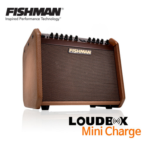 Fishman amplifiers for acoustic guitar discount