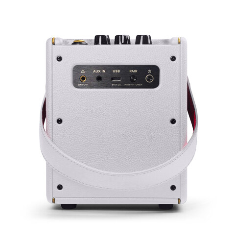 Positive Grid Spark Mini