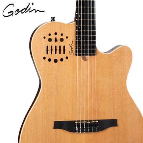 godin nylon electric