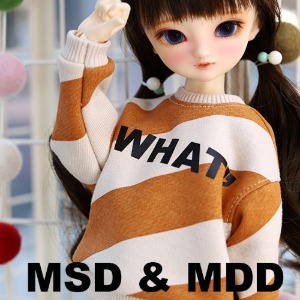 [MSD.MDD] WHAT 맨투맨 (오렌지)