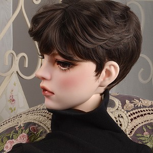 (13-14) HSDW Short Wig (D Brown)