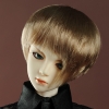 (8-9) Layerd Cut Wig (Brown)