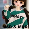 [MSD.MDD] WHAT 맨투맨 (그린)