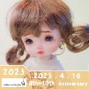 Langsat mab 14~19cm doll