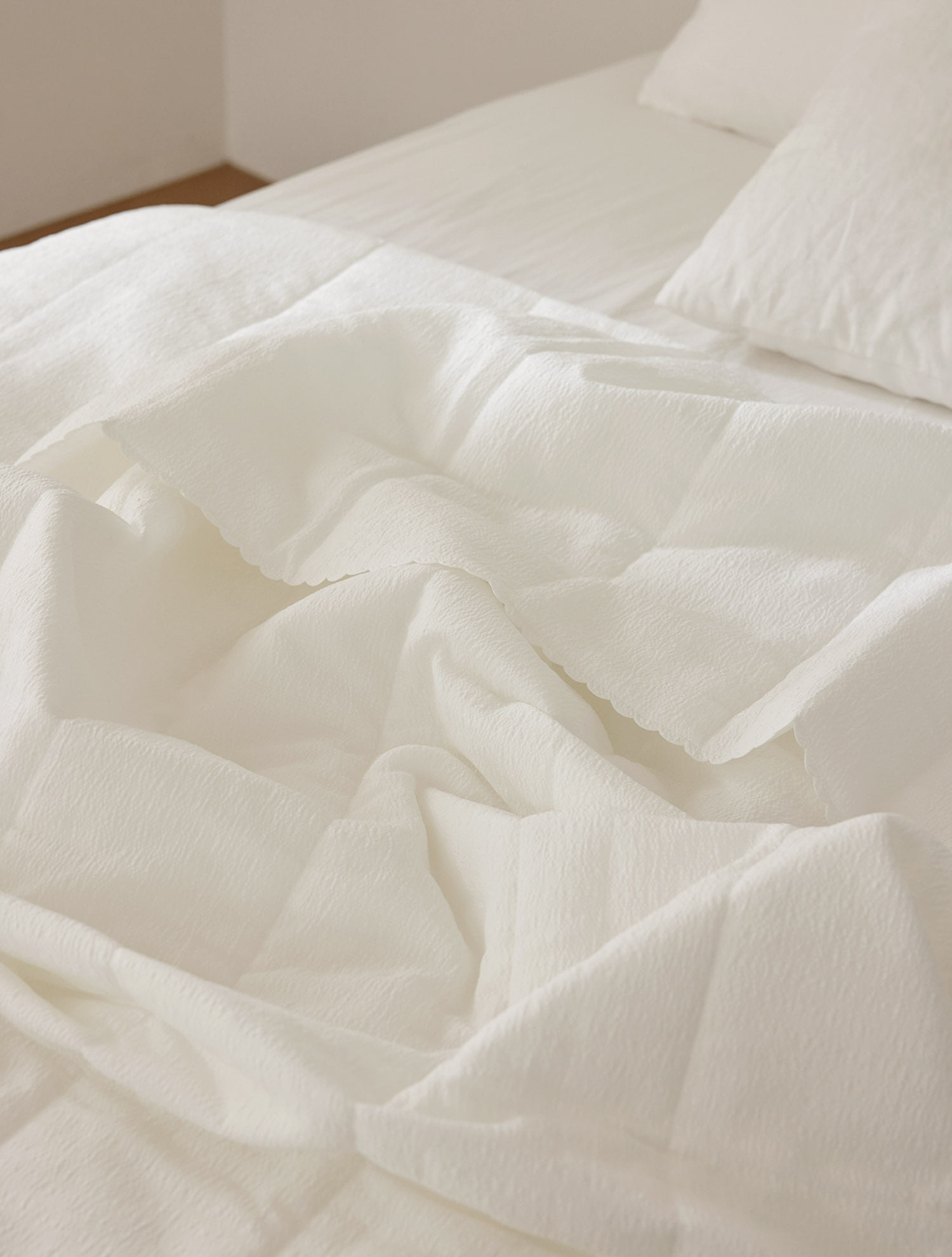 콤마씨 공식 몰