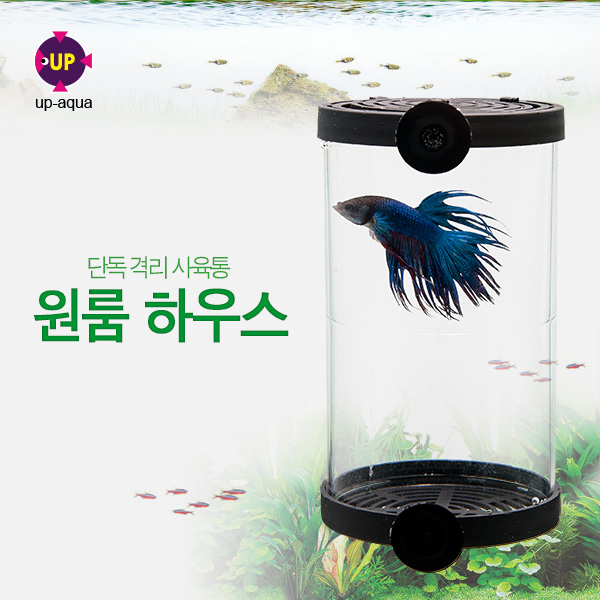 UP(유피) 원룸 하우스(단독 격리통) [베타컵,가재격리통] (CL-135)