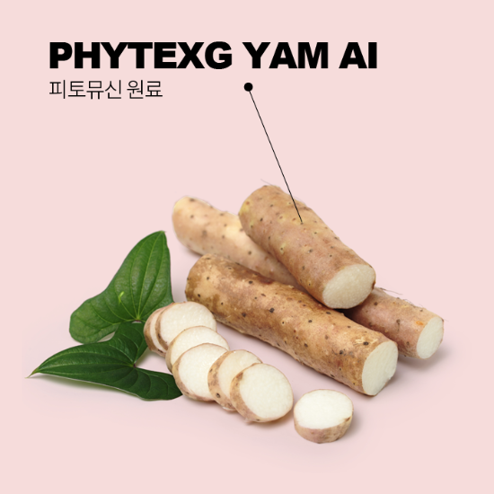 PHYTEXG YAM AI