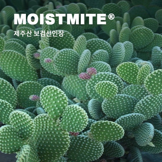 MOISTMITE®