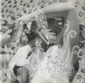 Bjork - Vespertine