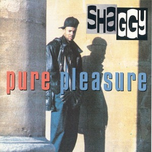 Shaggy - Pure Pleasure