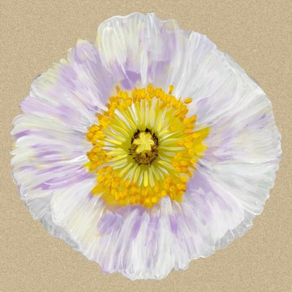 Poppy Blossom IV