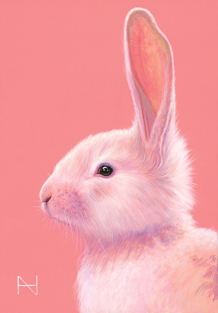 It is Spring_Rabbit(pink)